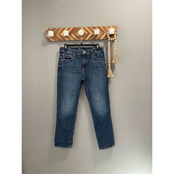 GAP Universal Slim Boyfriend Size 2/26 Regular - Picture 1 of 8